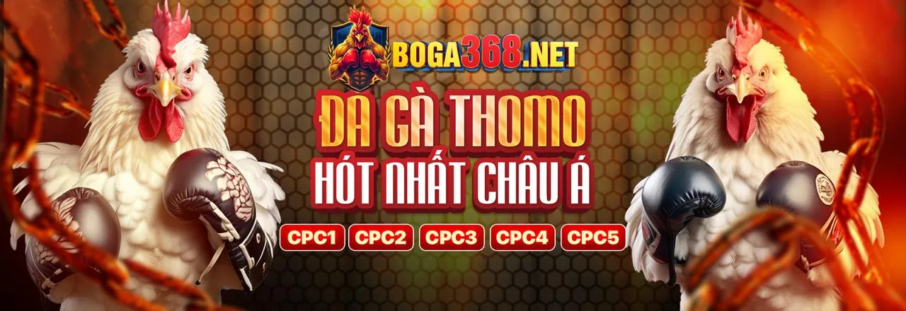 Trang blog f1686 top với các bài viết mới nhất